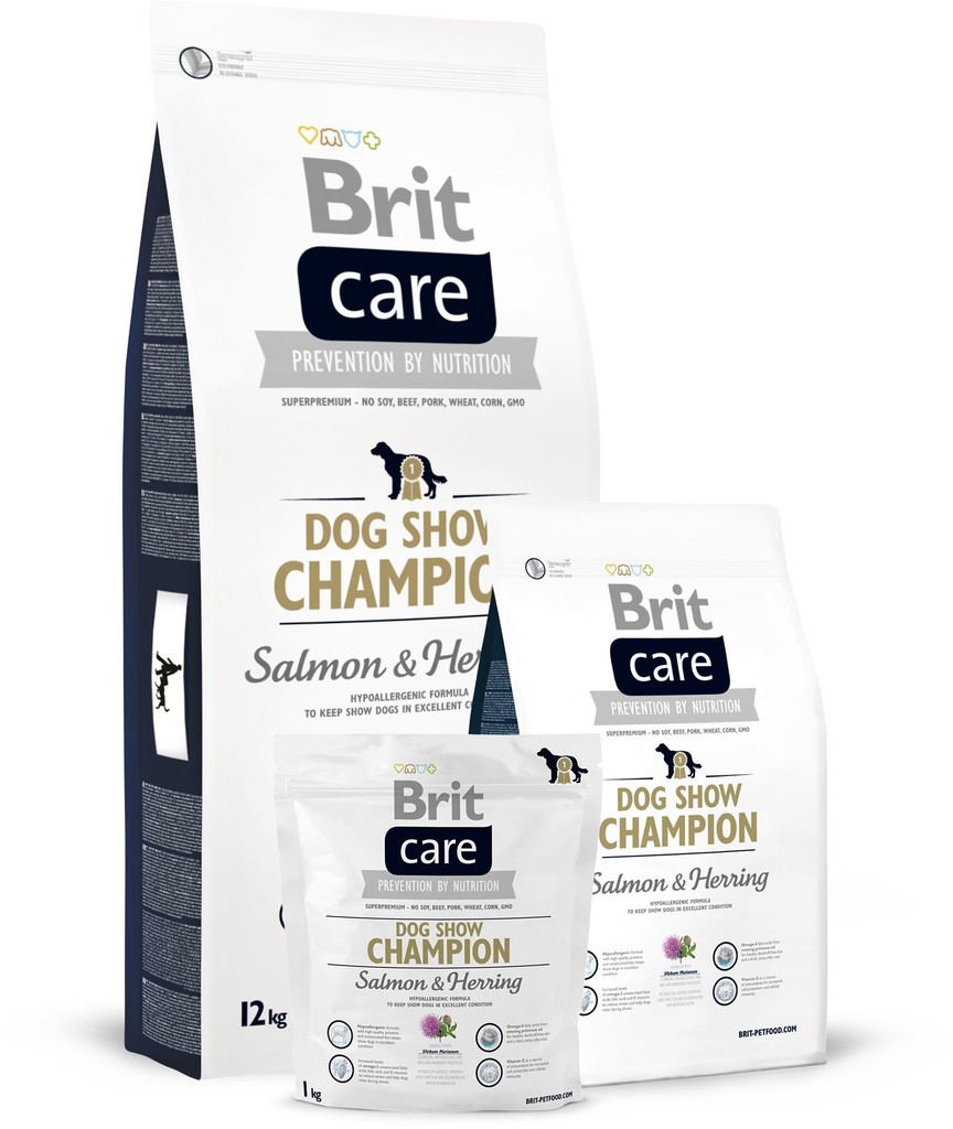 Brit Care Dog Show Champion